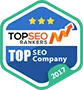 Named #1 Digital Agency in Many Countries! - 极速电竞APP